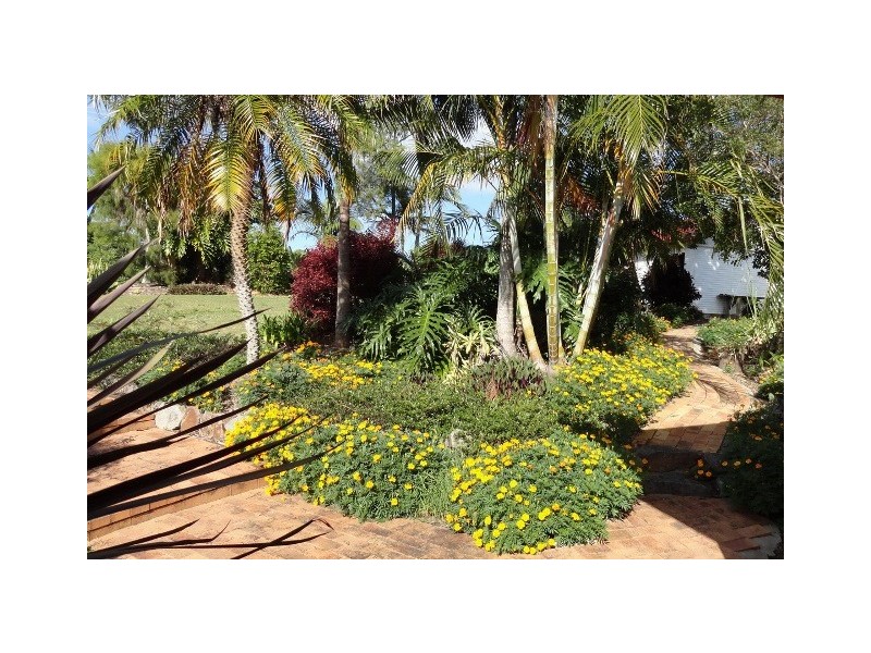 124 Black Mountain Road, Cooroy QLD 4563