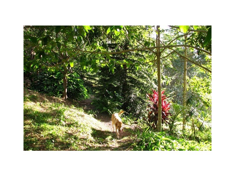 124 Black Mountain Road, Cooroy QLD 4563