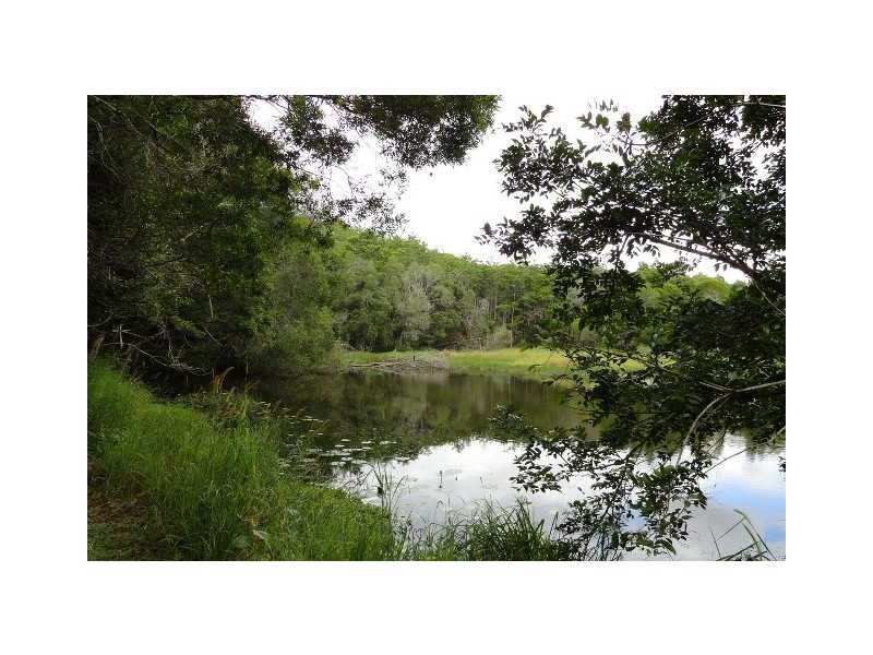 124 Black Mountain Road, Cooroy QLD 4563