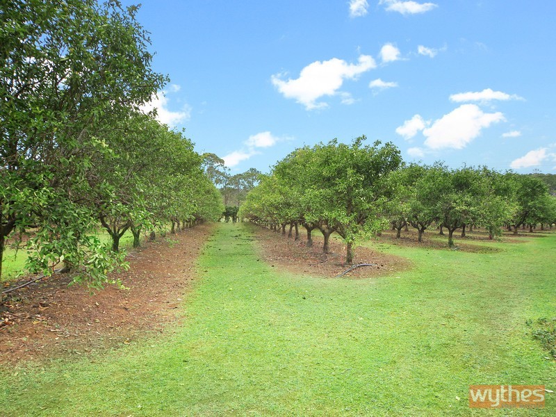 142 Cootharaba Downs Road, Cootharaba QLD 4565