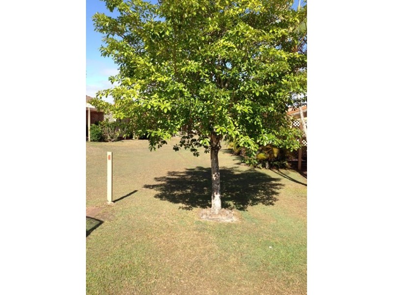 87/139 Moorindil Street, Tewantin QLD 4565