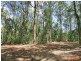 LOT 7 Figbird Court, Lake Macdonald QLD 4563