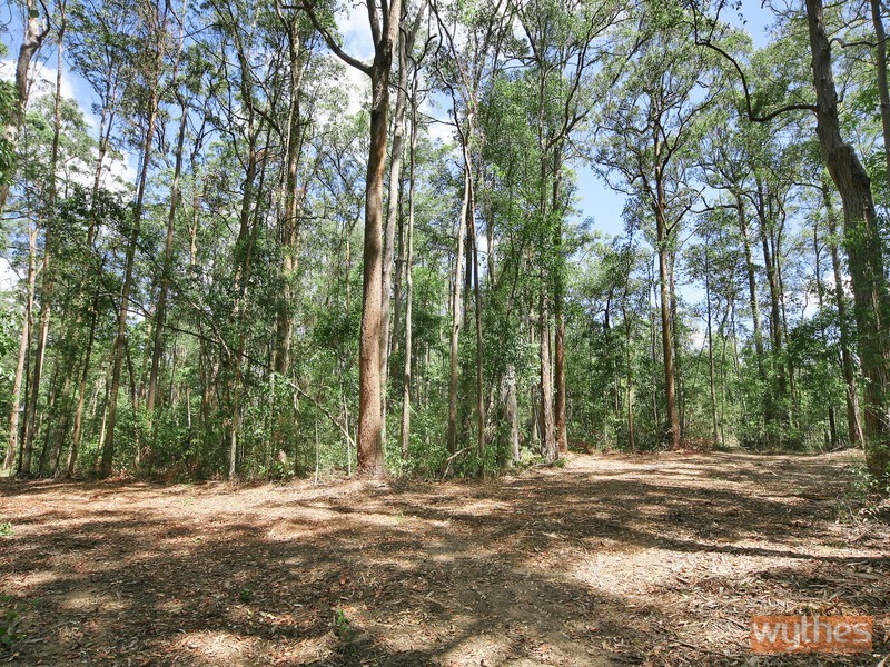 LOT 7 Figbird Court, Lake Macdonald QLD 4563