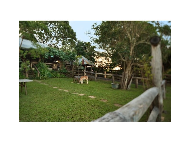 55 Happy Jack Creek Road, Ridgewood QLD 4563