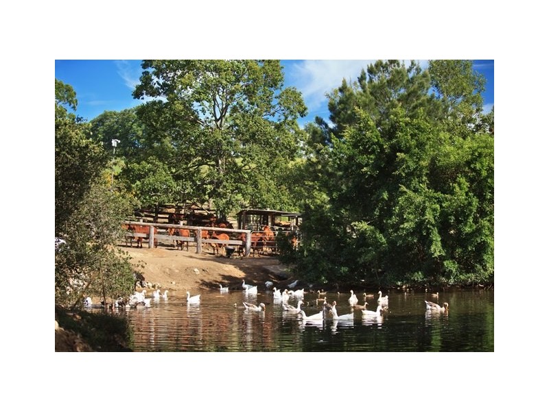 55 Happy Jack Creek Road, Ridgewood QLD 4563