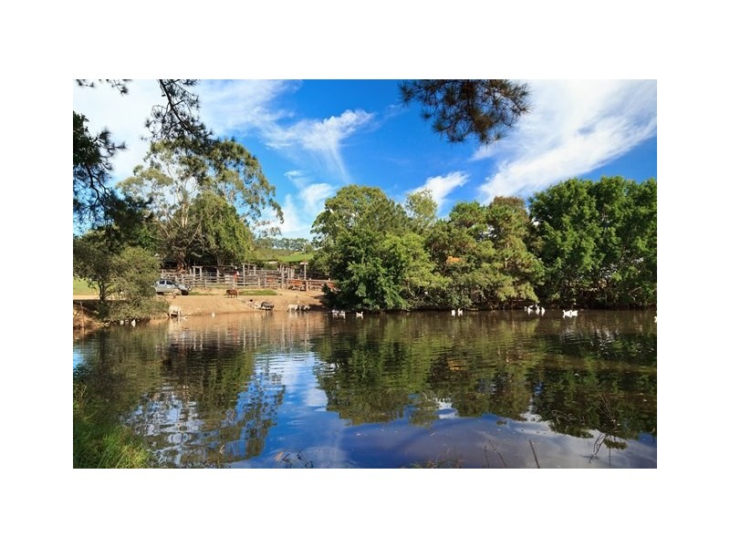 55 Happy Jack Creek Road, Ridgewood QLD 4563