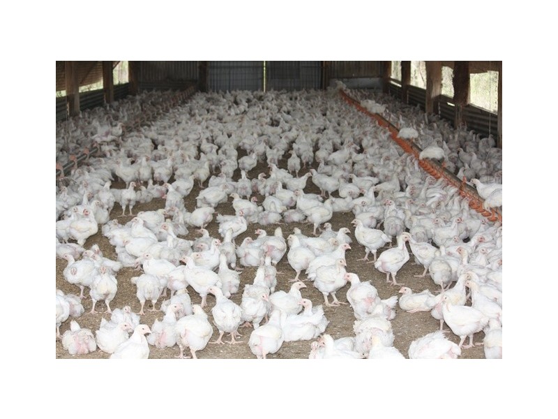 3525 Mary Valley Road, Brooloo QLD 4570