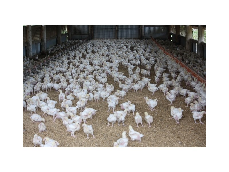 3525 Mary Valley Road, Brooloo QLD 4570