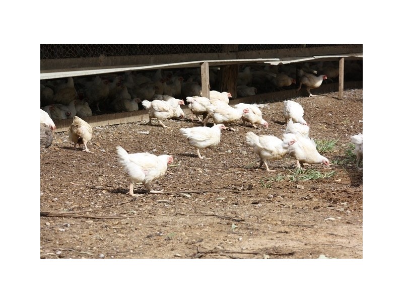 3525 Mary Valley Road, Brooloo QLD 4570