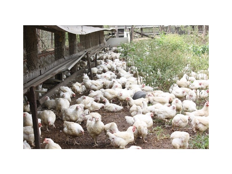 3525 Mary Valley Road, Brooloo QLD 4570