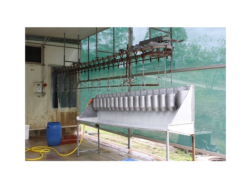 3525 Mary Valley Road, Brooloo QLD 4570