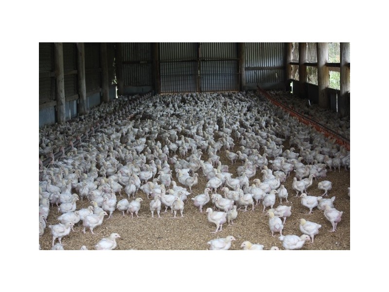 3525 Mary Valley Road, Brooloo QLD 4570