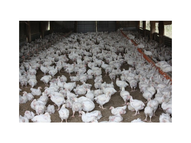 3525 Mary Valley Road, Brooloo QLD 4570