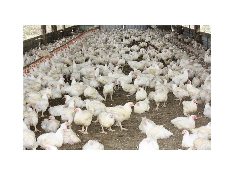 3525 Mary Valley Road, Brooloo QLD 4570