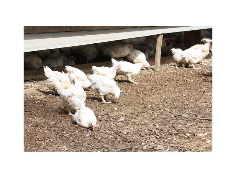 3525 Mary Valley Road, Brooloo QLD 4570