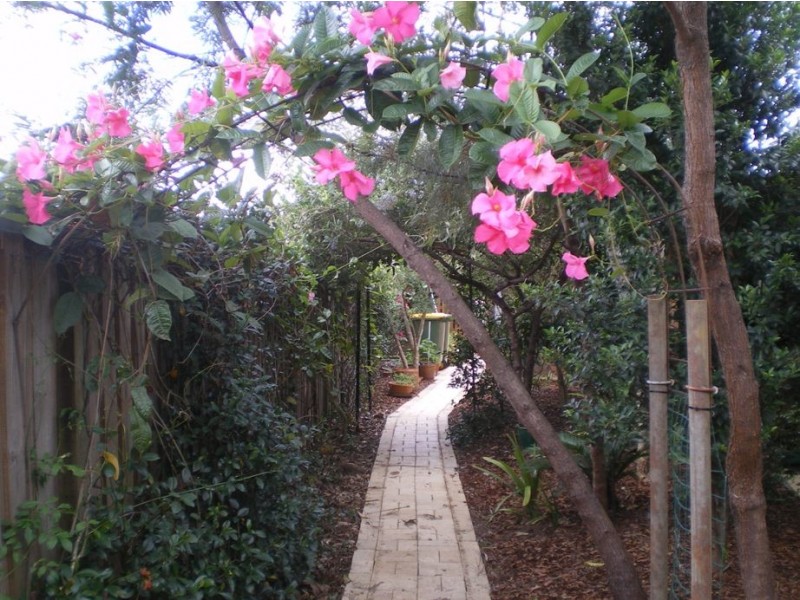 5 Blue Wren Place, Cooroy QLD 4563