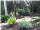160 Nandroya Road, Cooroy QLD 4563