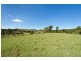 369-387 Cooroy Mountain Road, Cooroy Mountain QLD 4563