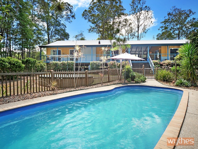 19 Bunya Lane, Black Mountain QLD 4563