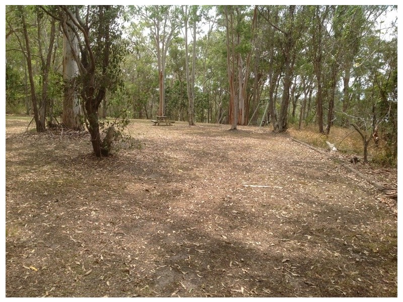 Cooroibah QLD 4565
