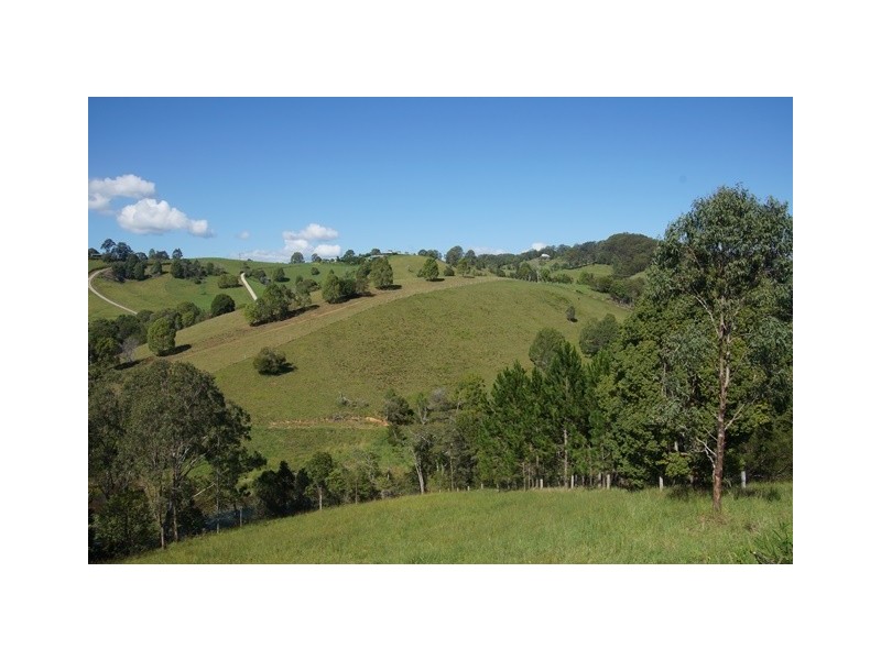 441 Cooroy Belli Creek Road, Cooroy QLD 4563