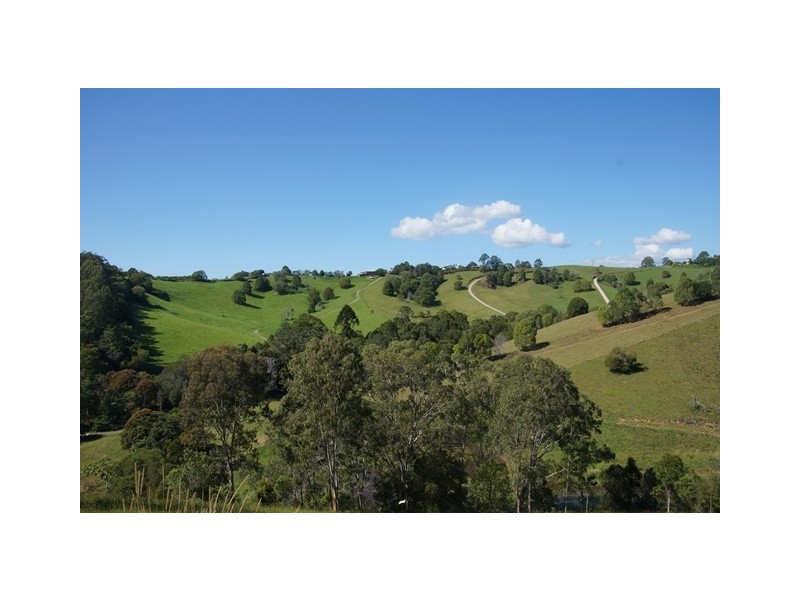 441 Cooroy Belli Creek Road, Cooroy QLD 4563