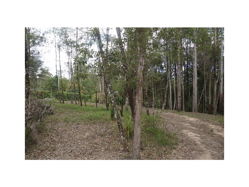 24 Koala Crescent, Lake Macdonald QLD 4563