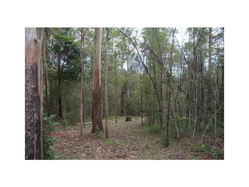 24 Koala Crescent, Lake Macdonald QLD 4563