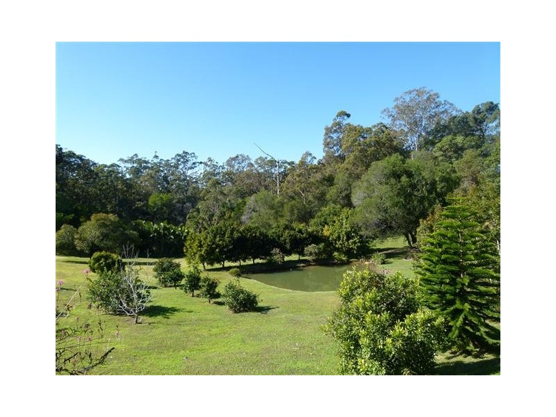 42 Black Mountain Road, Black Mountain QLD 4563
