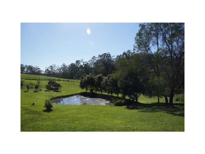 42 Black Mountain Road, Black Mountain QLD 4563