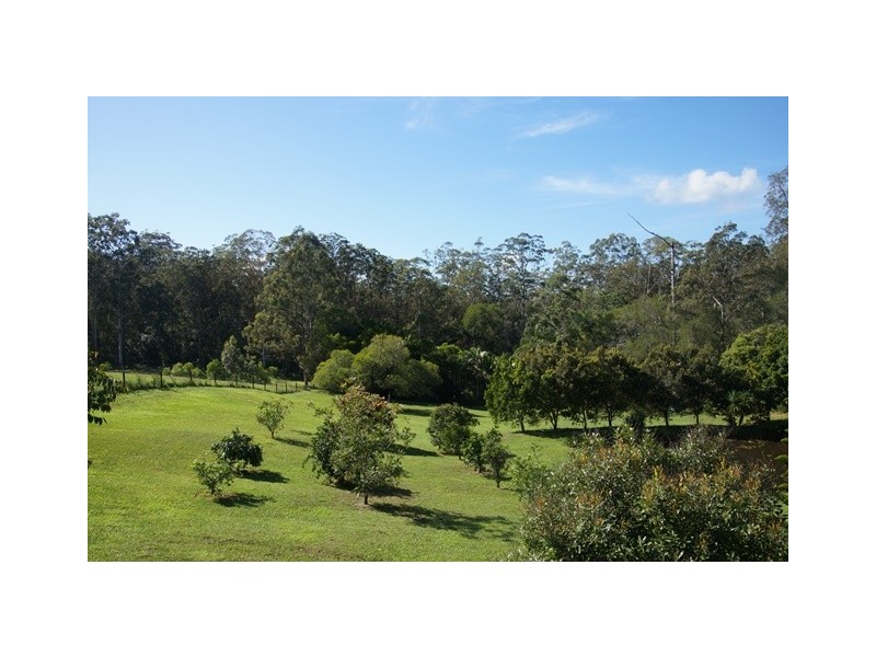 42 Black Mountain Road, Black Mountain QLD 4563