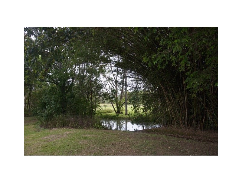 31 Tablelands Road, Cooran QLD 4569