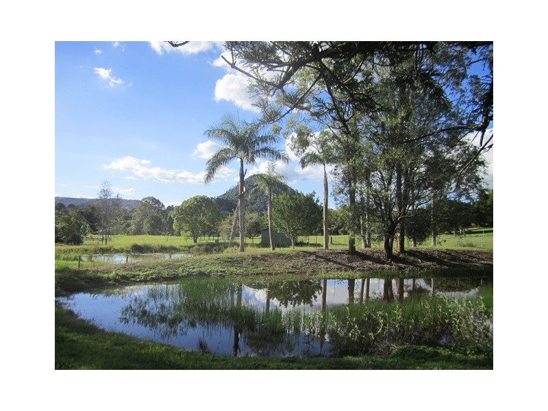 37 Mountain View Road, Pinbarren QLD 4568