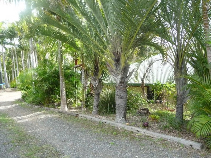 29 Swift Drive, Cooroy QLD 4563