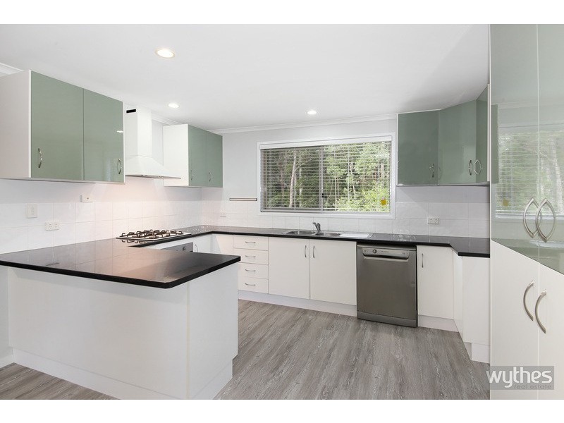 250 Blueberry Drive, Black Mountain QLD 4563