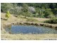 111 Jorgensen Road, Ridgewood QLD 4563