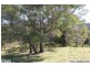 111 Jorgensen Road, Ridgewood QLD 4563