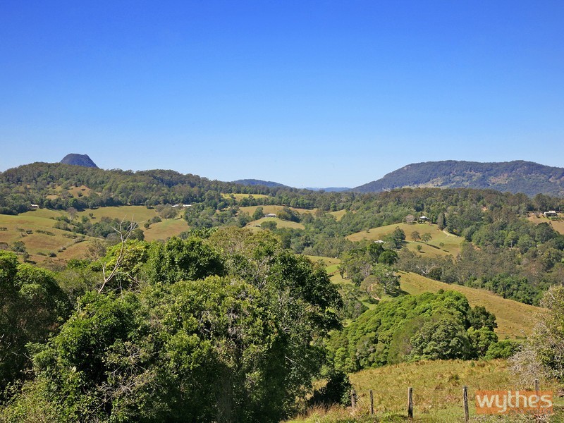 771 Cooroy Belli Creek Road, Black Mountain QLD 4563