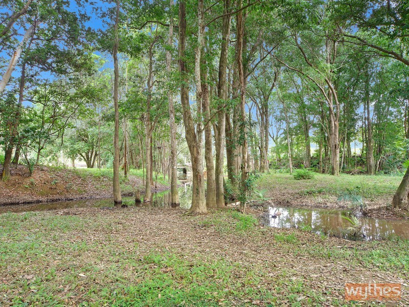 57 Lawnville Road, Cooroy QLD 4563