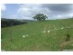 245 Gympie Kin Kin Road, Kin Kin QLD 4571