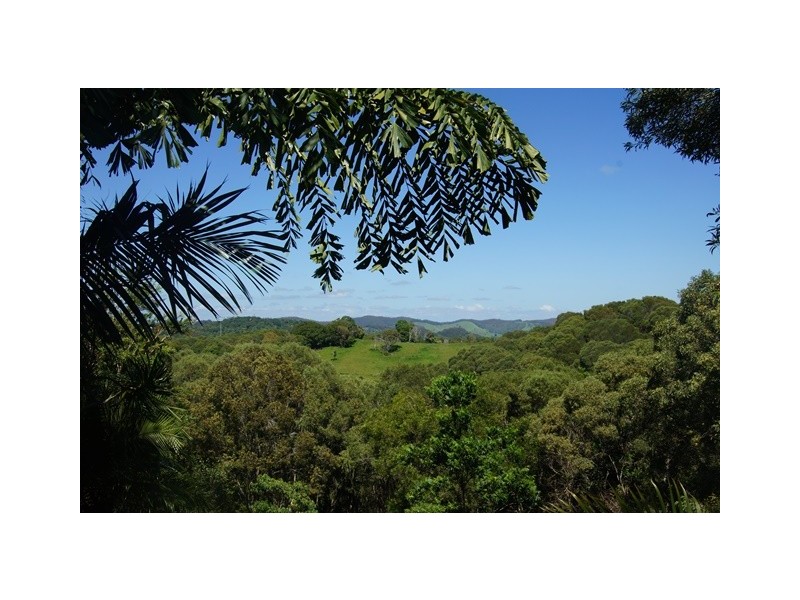37 Black Mountain Range Road, Black Mountain QLD 4563