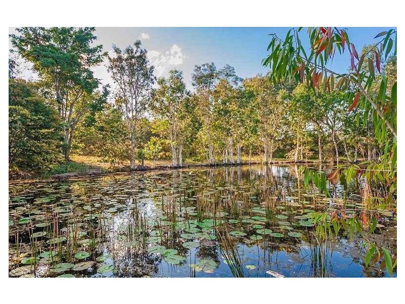 10 Cootharaba Downs Road, Cootharaba QLD 4565