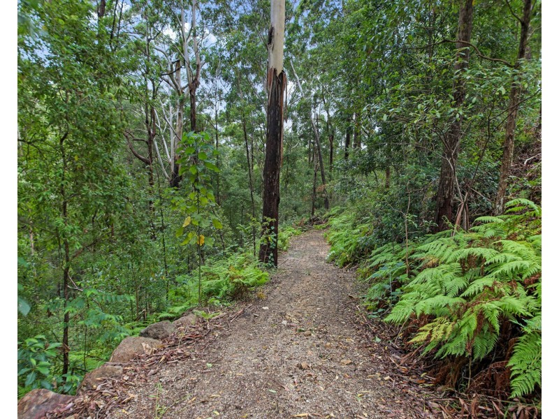 29 Viewland Drive, Doonan QLD 4562