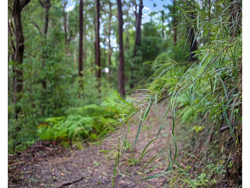 29 Viewland Drive, Doonan QLD 4562