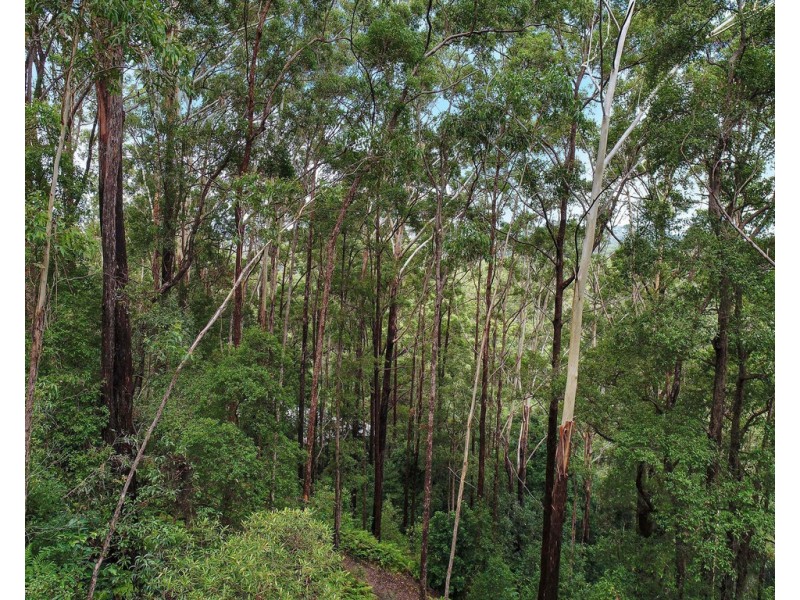 29 Viewland Drive, Doonan QLD 4562