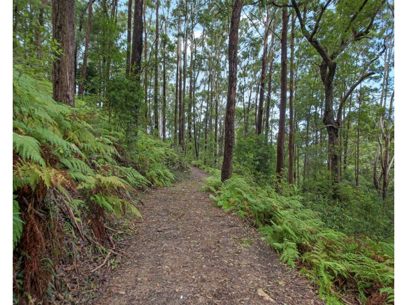 29 Viewland Drive, Doonan QLD 4562