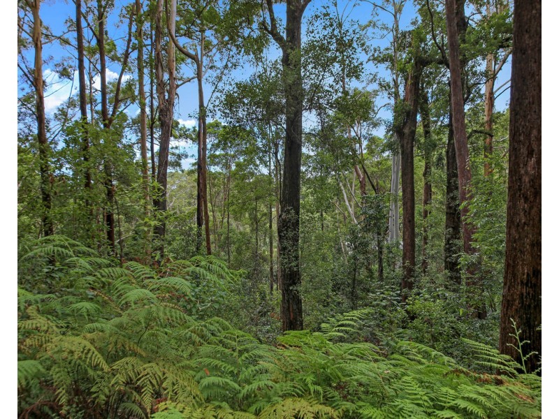 29 Viewland Drive, Doonan QLD 4562