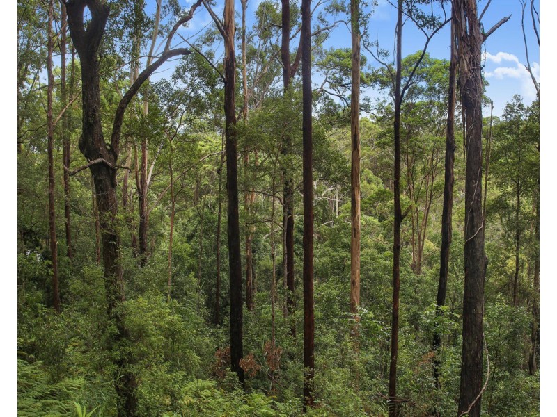 29 Viewland Drive, Doonan QLD 4562