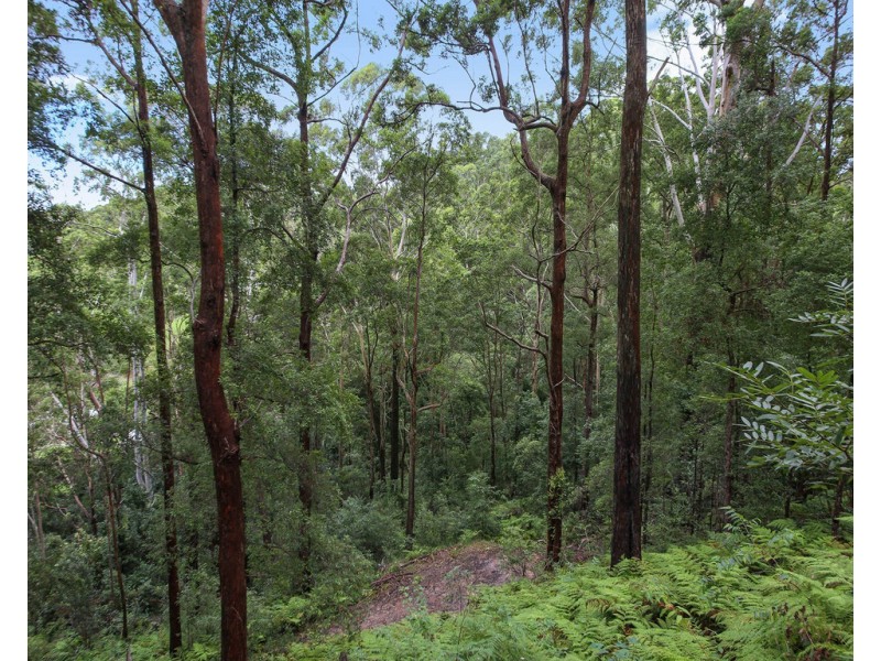 29 Viewland Drive, Doonan QLD 4562