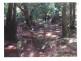 122 Lawnville Road, Cooroy QLD 4563